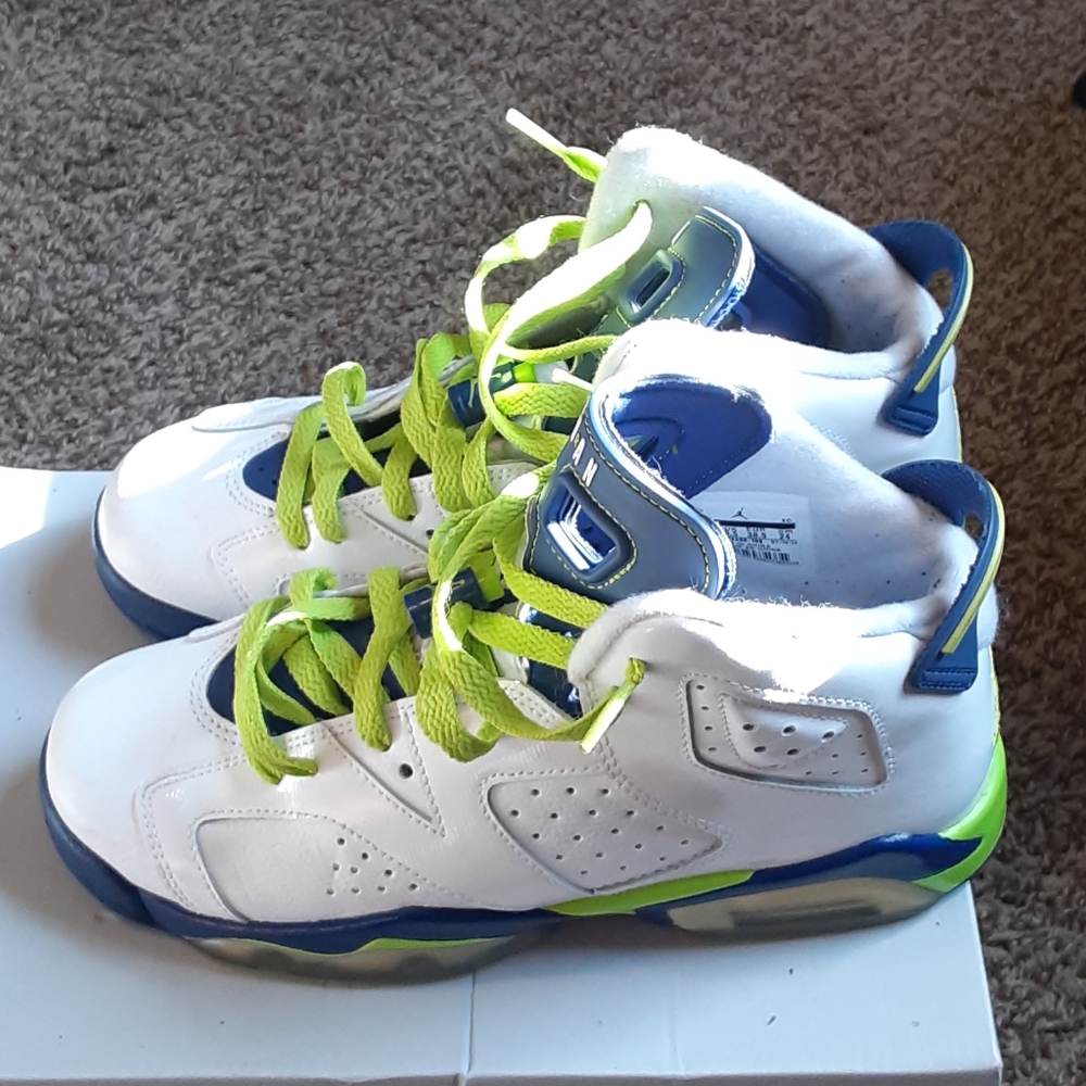 Jordan 6s